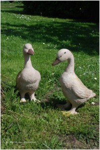 lindenhof-fruehling2