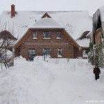 winter-lindenhof