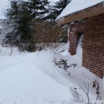 winter-lindenhof1