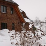 winter-lindenhof13
