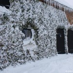 winter-lindenhof6